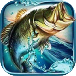 中欧体育kok入口app